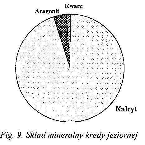 <0,5 ppm, Cr - 85 ppm, Pb - 18 ppm, Zn - 61 ppm, zaś aktynowców: Th - 9,9 ppm, U- 2,6 ppm (Tab. 2).