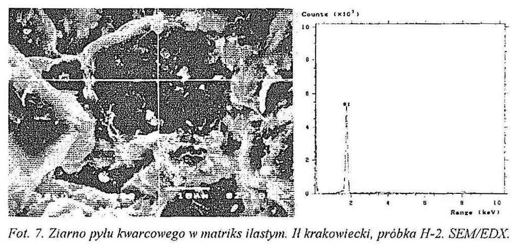 W składzie ziarnowym badanej próbki dominuje frakcja pylasta (82,7% wag.