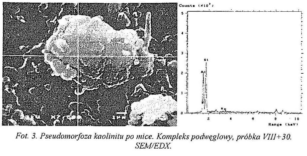 Mniej zróŝnicowany jest udział pierwiastków śladowych wśród których zwraca uwagę stosunkowo niska zawartość metali cięŝkich: As - do 30 ppm, Cd - poniŝej 0,5 ppm, Cr - do 165 ppm, Pb - do 47 ppm, Zn