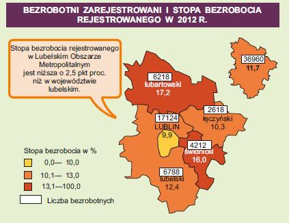 Uczyni Lubartów miejscem bardziej atrakcyjnym do zamieszkania i wypoczynku, 9.