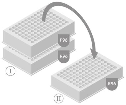 Po 10 minutach sprawdzić czy lizaty przeszły do płytki odbierającej R96. 9. Przenieść płytkę P96 na nową płytkę R96 (po uprzednim zdjęciu z niej pokrywki).