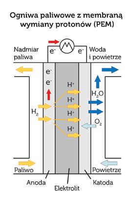 Ogniwo to składa się z ujemnie naładowanej elektrody (anody), dodatnio naładowanej elektrody (katody) oraz polimerowego elektrolitu w postaci membrany.