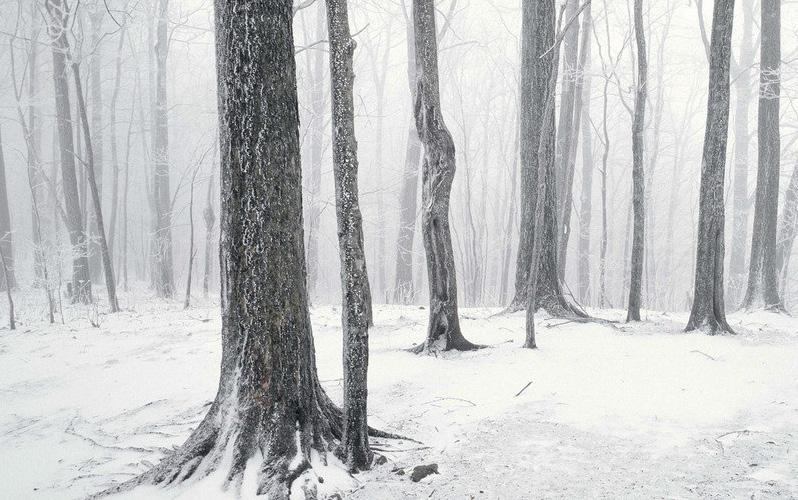 zniszczeniom i uszkodzeniom powodowanym zamarzaniem oraz innym niebezpiecznym zdarzeniom.