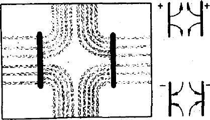Rys. 10 B. Linie pola elektrostatycznego między elektrodami okrągłymi Postępujemy podobnie jak poprzednio stosując elektrody okrągłe.