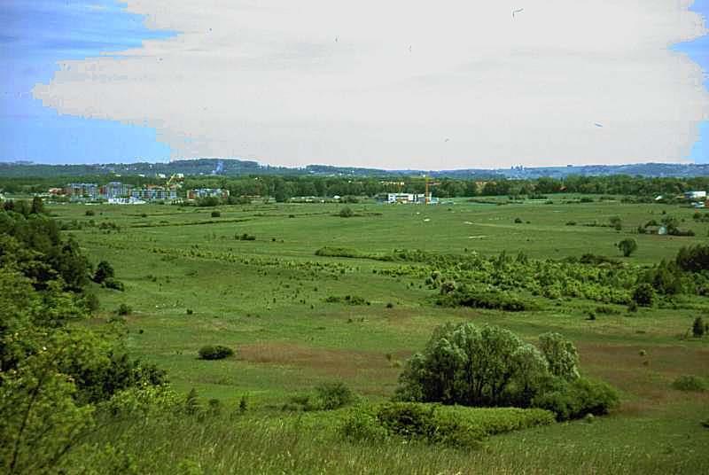 Widok z Fortu Bodzów na łąki