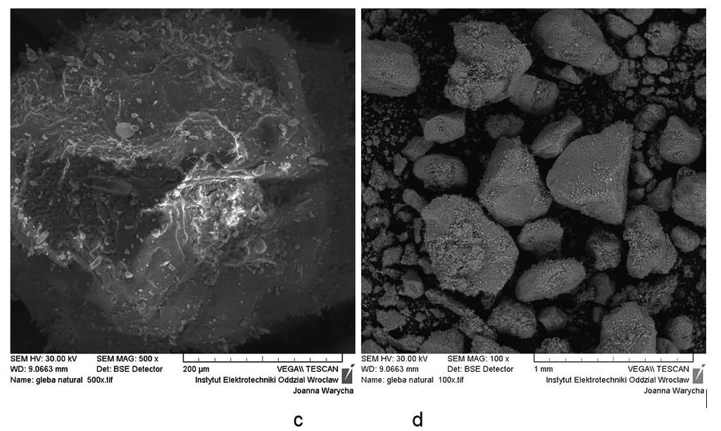 (M-1 Soil) (natural) Badania mikrostruktury i mikroanaliza składu chemicznego Rys.