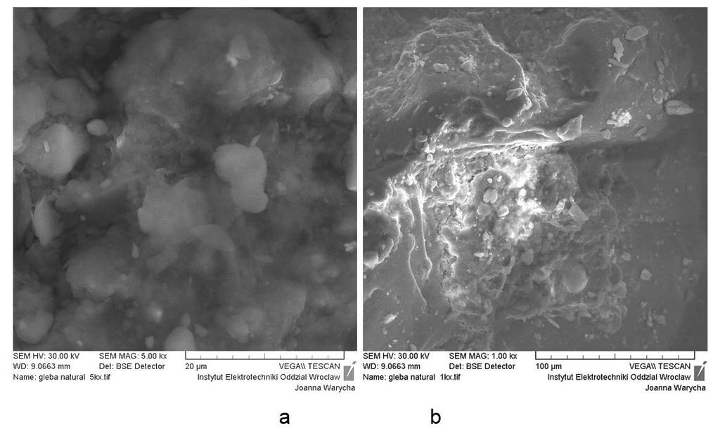 (M-1ASoil) (natural) Zdjęcia mikrostruktury przedstawiają zbrylone skupiska ziaren, minimalna wielkość ziaren to 1 µm, natomiast