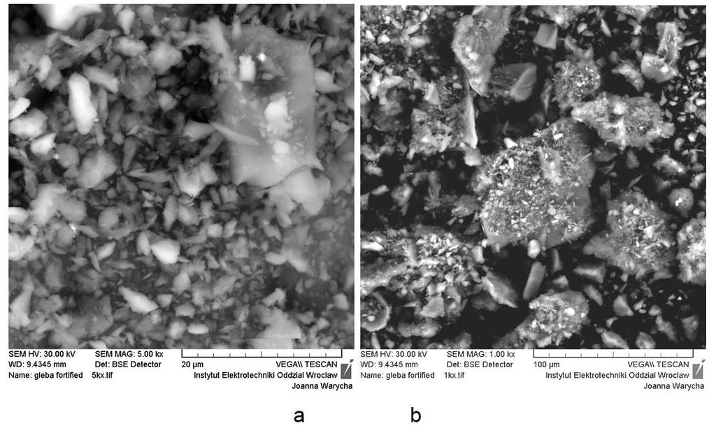 MODAS-1A Soil Badania mikrostruktury i mikroanaliza składu