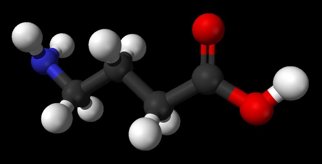 Neurotransmitery Pobudzajace: kwas