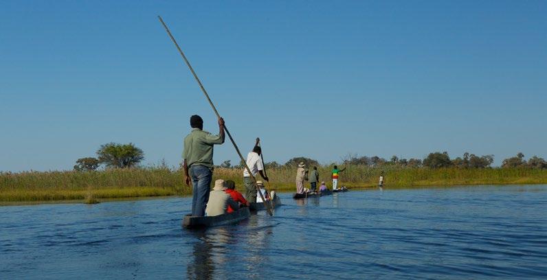 spływ kanałami Okawango DZIEŃ 10 DELTA OKAWANGO PIESZE SAFARI W DELCIE OKAWANGO PŁYWANIE ŁODZIAMI MOKORO Po porannym safari zjemy śniadanie i ruszymy do Maun.