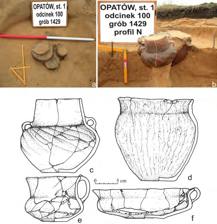 The biritual cemetery of the Bronze Age from Opatów, site 1, Kłobuck distr., Śląskie voiv.