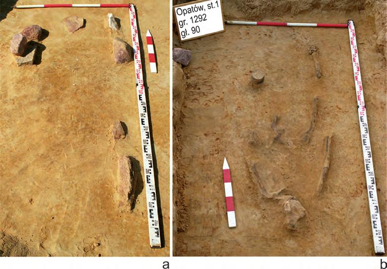 The biritual cemetery of the Bronze Age from Opatów, site 1, Kłobuck distr., Śląskie voiv. the study 31 Fig. 5. Opatów, site 1, Kłobuck dist., Śląskie voiv. Inhumation grave No 1292: a stone kerbs of the pit grave, depth 70 cm, b grave pit, depth 90 cm Ryc.