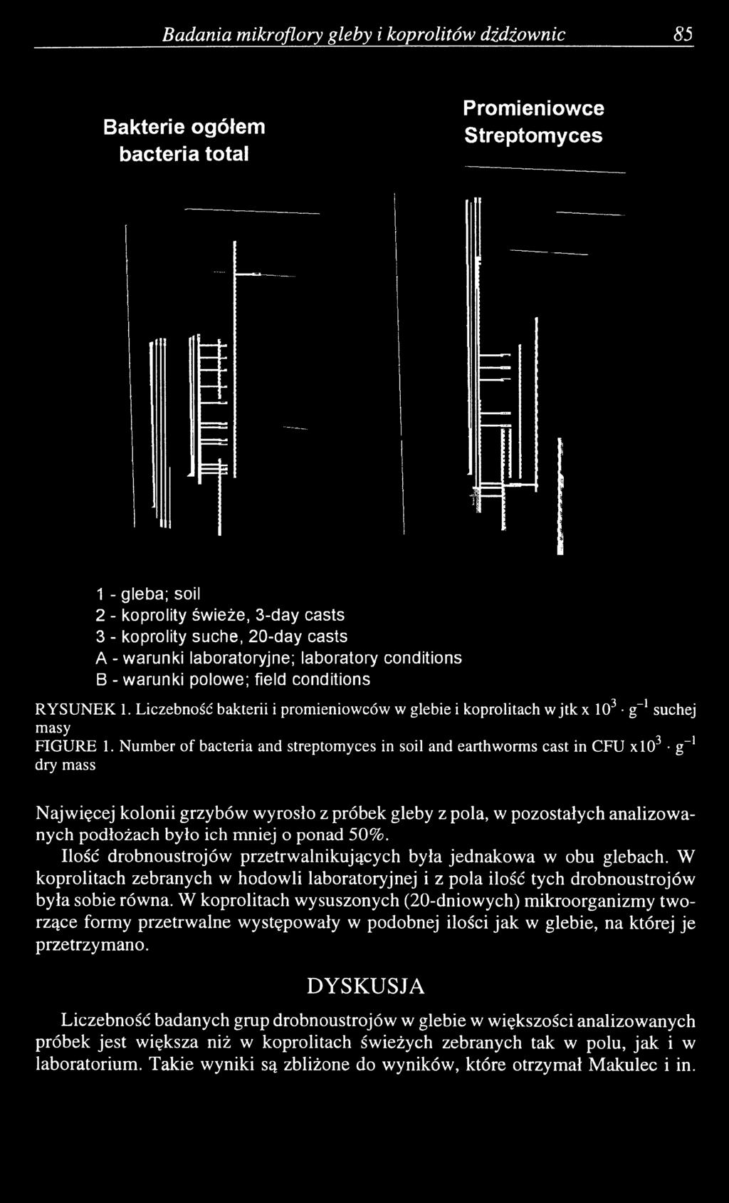 Number of bacteria and streptomyces in soil and earthworms cast in CFU xlo3 g-1 dry mass Najwięcej kolonii grzybów wyrosło z próbek gleby z pola, w pozostałych analizowanych podłożach było ich mniej