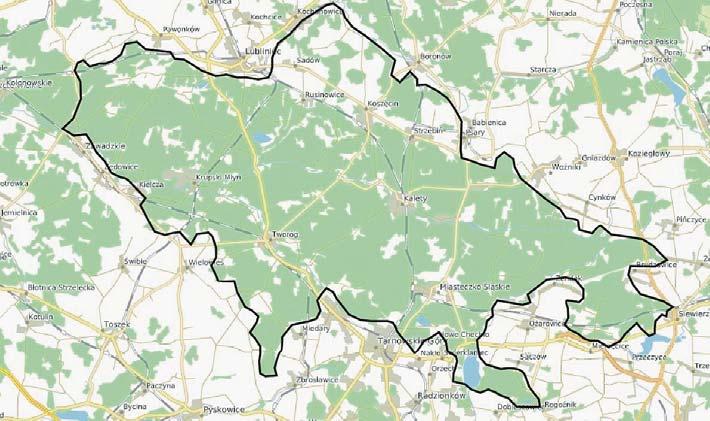 powierzchniowo duży, wchodzący w skład 7 powiatów, 7 nadleśnictw, 22 gmin. Literatura na jego temat jest uboga.