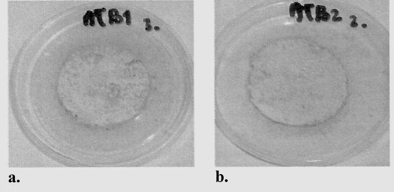 5% and c with a 3% additive of nanofiller Nanobent ZR1 as a result of the action of mould fungus Aspergillus niger on whole culture medium Fot. 5.
