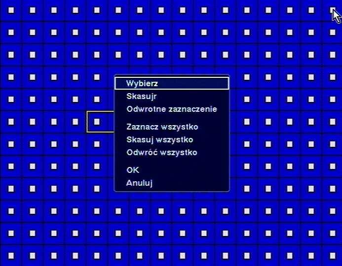 NDR-HA1104 - Instrukcja obsługi wer. 1.0 MENU REJESTRATORA Na tle obrazu z wybranej kamery wyświetlana jest siatka detekcji ruchu.