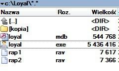 program powinien być umieszczony w katalogu loyal na dysku lokalnym C. Jest to warunek poprawnego działania programu 4.