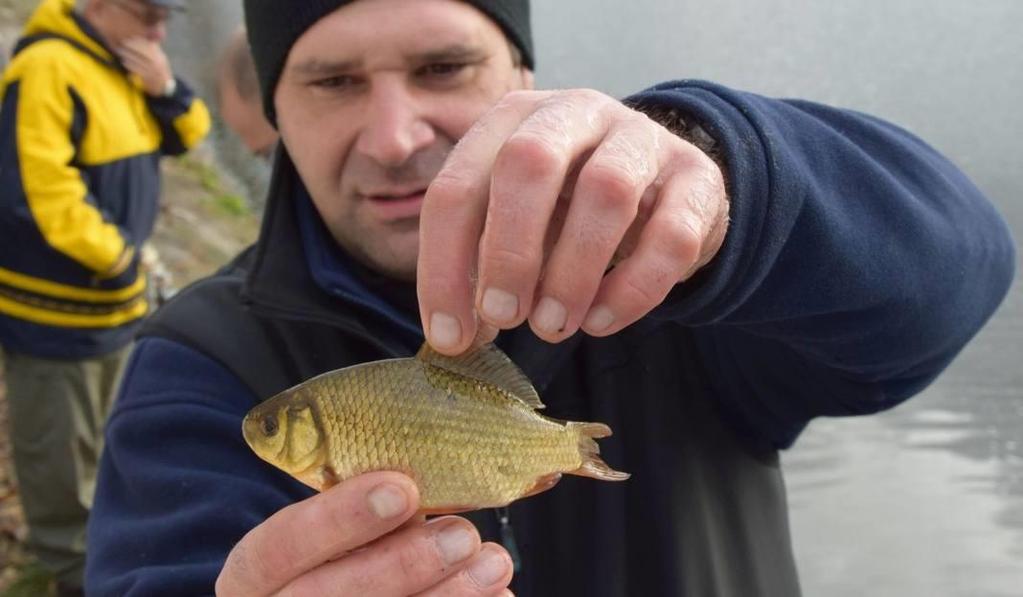 Kamionki małe pstrągi Jesienna akcja