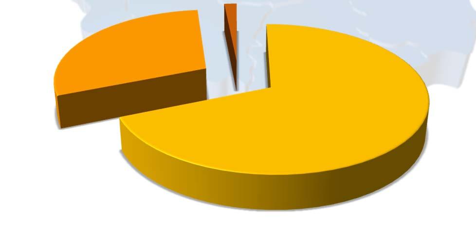 udzielonych poręczeń) 0,9% Struktura poręczeń ze względu na wielkość przedsiębiorstwa (wg