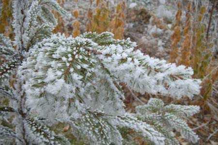 OSADY ATMOSFERYCZNE SZRON, SZADŹ i GOŁOLEDŹ SZRON jest to osad lodu o wyglądzie krystalicznym powstający w podobny sposób jak rosa, ale przy temperaturze powietrza poniżej 0º C.