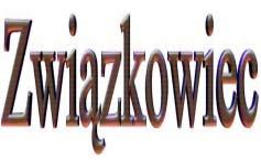 Ukazuje się od 15 września 1980 roku ISSN 1505-6724 Pismo Niezależnego Samorządnego Związku Zawodowego Nr 4/2015 (669) HUTA KATOWICE 27 lutego 2015 Strony wymieniły się konkretnymi stanowiskami