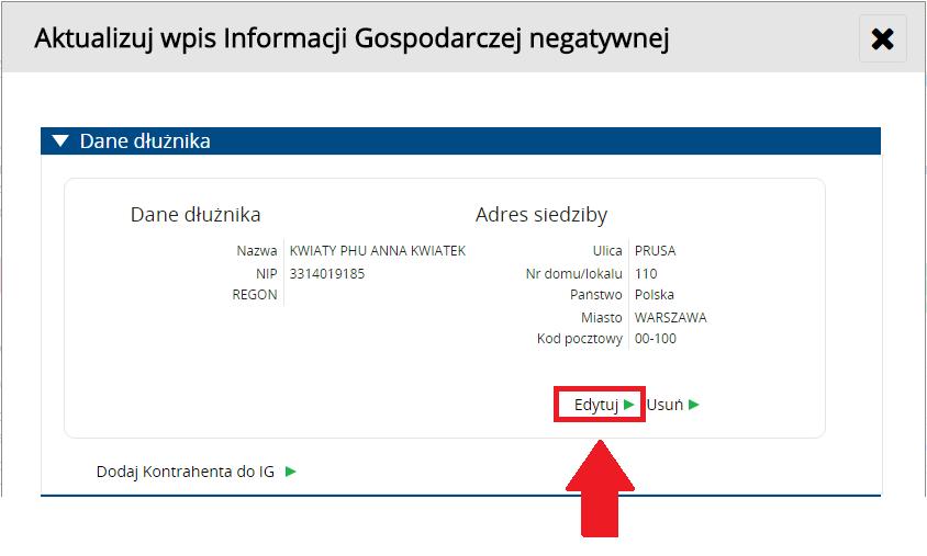 Instrukcja Użytkownika System BIG.