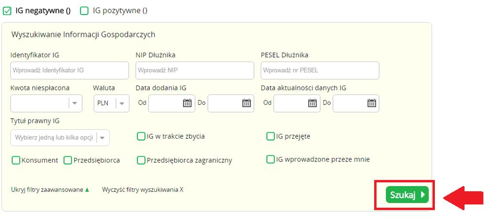 Instrukcja Użytkownika System BIG.