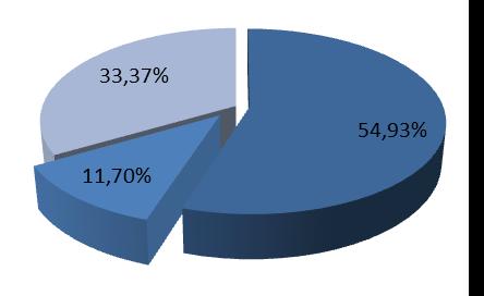 606 65,46% imienne uprzywilejowane co do głosu 820.800 11,70% 1.641.600 14,24% Pozostali na okaziciela 2.341.194 33,37% 2.341.194 20,30% Razem - 7.016.000 100% 11.530.