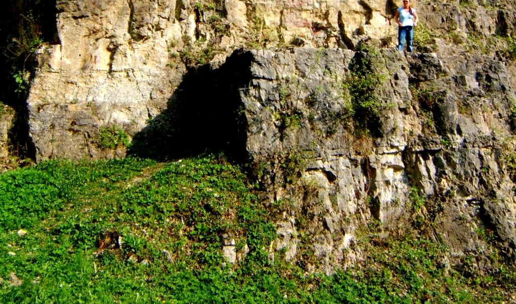 Rock sample from the outcrop of Grain rock from Chorula limestone (point 9) W otaczającym amfiteatr parku można podziwiać odsłonięcie wapieni warstw dziewkowickich i karchowickich, o budowie
