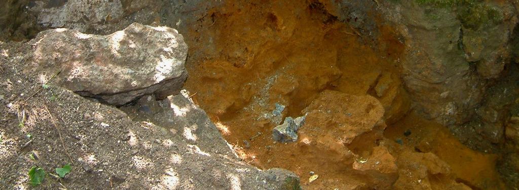 Outcrop of Karchowice Beds (Thick banks of Encrinites with Echinodermata fossils) (point 1) Kolejne odsłonięcie gruboławicowych enkrynitów ze szkarłupniami znajduje się w korycie rzeczki (Rys.