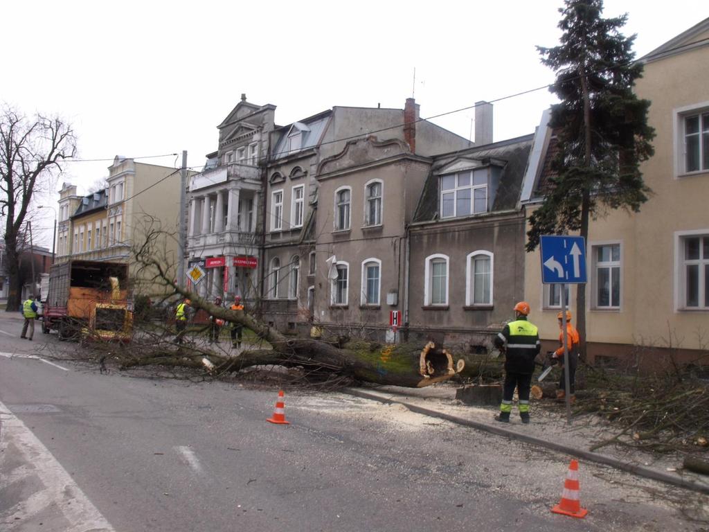 ZDJĘCIA Z REALIZACJI PROJEKTU stan na maj 2017r.