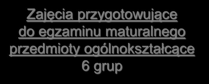 zawodowe 9 grup Zajęcia dodatkowe