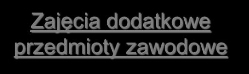 Zajęcia dodatkowe przedmioty zawodowe 2