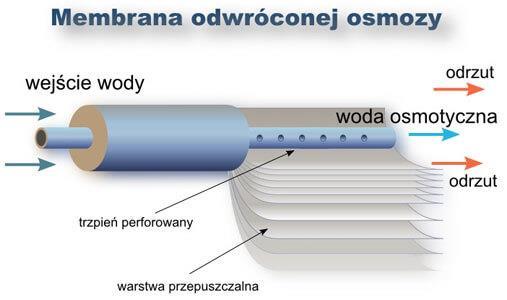 widoczna ludzkim okiem