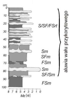 i mułkowo-piaszczyste tworzące zestaw rytmitu powodziowego S/SFrt lub S/FSrt.