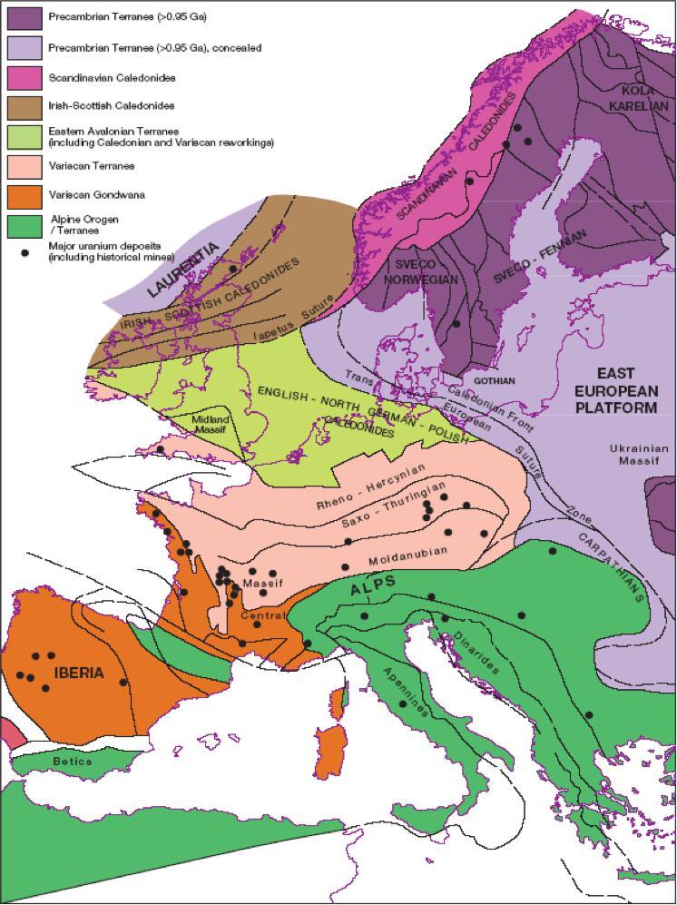 PLATFORMĄ ZACHODNIOEUROPEJSKĄ A KARTONEM