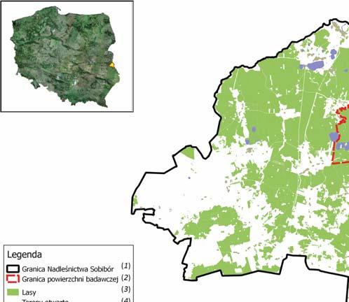 Celem niniejszej pracy była weryfikacja dotychczasowej wiedzy na temat występowania puszczyka na terenie Lasów Sobiborskich, jak również wstępne określenie jego wybiórczości siedliskowej oraz