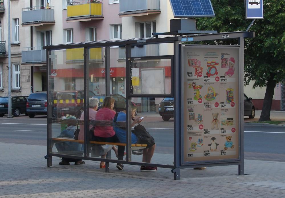 5. Proszę podać co jeszcze przeszkadza w reklamach umieszczonych na terenie miasta Kalisza?