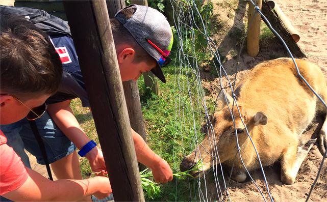 Tyrolka w Parku Linowym w Leśniewie Park Dzikich