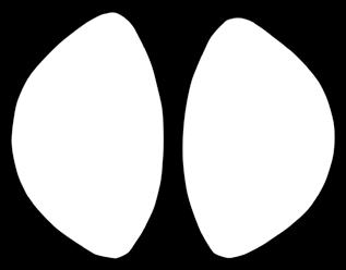 ROZM S (35-38), M (39-42), L (43-47) Nr. Art.