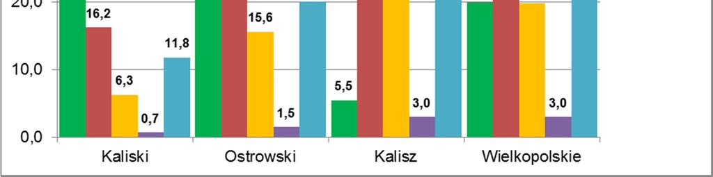 budownictwie i były to wyraźnie największe sektory ekonomiczne powiatu, tak jak w województwie (32,3%).