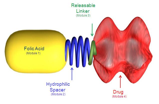 Vintafolid- budowa leku oraz Etarfolatyd (radiofarmacetyk) Vintafolid jest drobnocząsteczkowym koniugatem folianu i