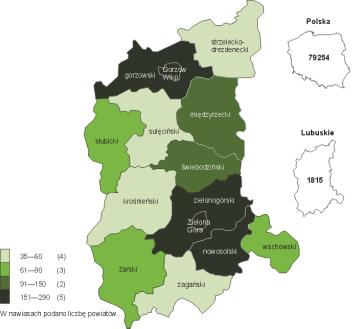dzińskim (95,7 m 2 ) i międzyrzeckim (85,6 m 2 ) oraz w miastach na prawach powiatu: Zielonej Górze (89,9 m 2 ) i Gorzowie Wielkopolskim (59,9 m 2 ).