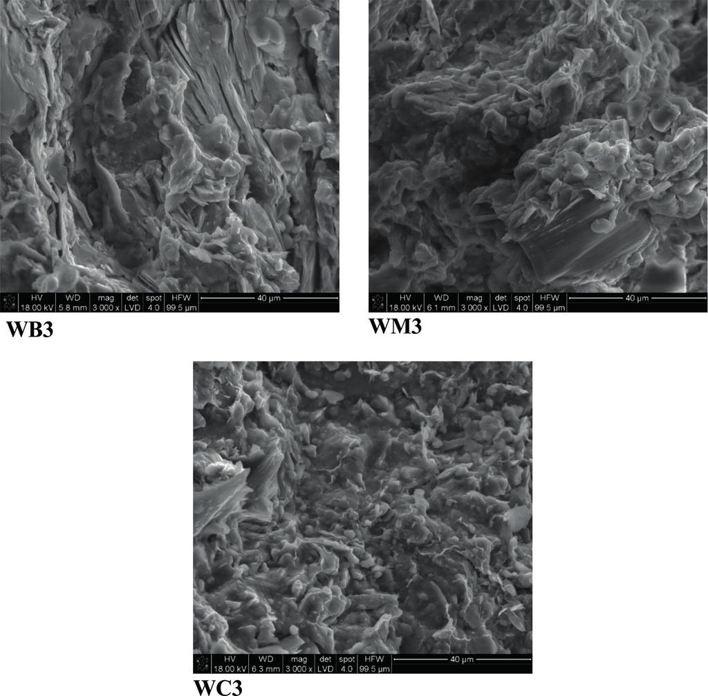 96 Gajek i inni 2016 / Gospodarka Surowcami Mineralnymi Mineral Resources Management 32(1), 89 102 Rys. 7. Mikrofotografie SEM badanych surowców Rys. 7. SEM micrographs of the tested raw materials 2.