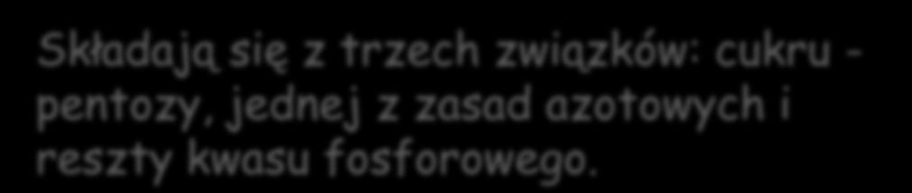 adenozyno-5'-monofosforan, guanozyno-5'-monofosforan, cytydyno-5'-