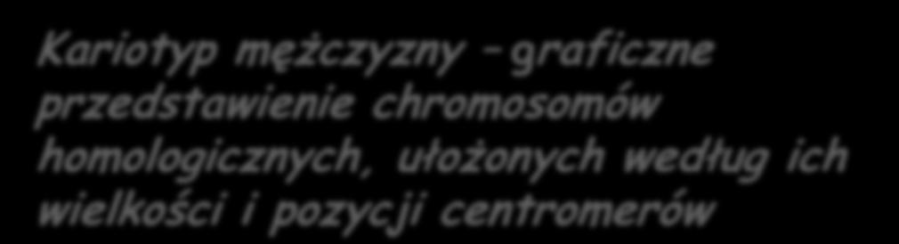 ułożonych