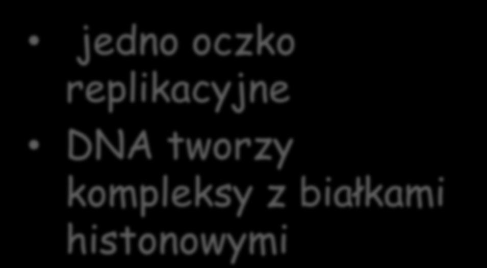 kompleksów z białkami jedno oczko