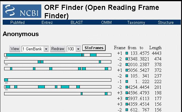 Kod genetyczny Otwarte ramki odczytu (ORF) otwarte ramki odczytu ORF (Open Reading Frame).