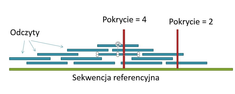 Analiza bioinformatyczna Słowniczek NGS Odczyty sparowane (ang.