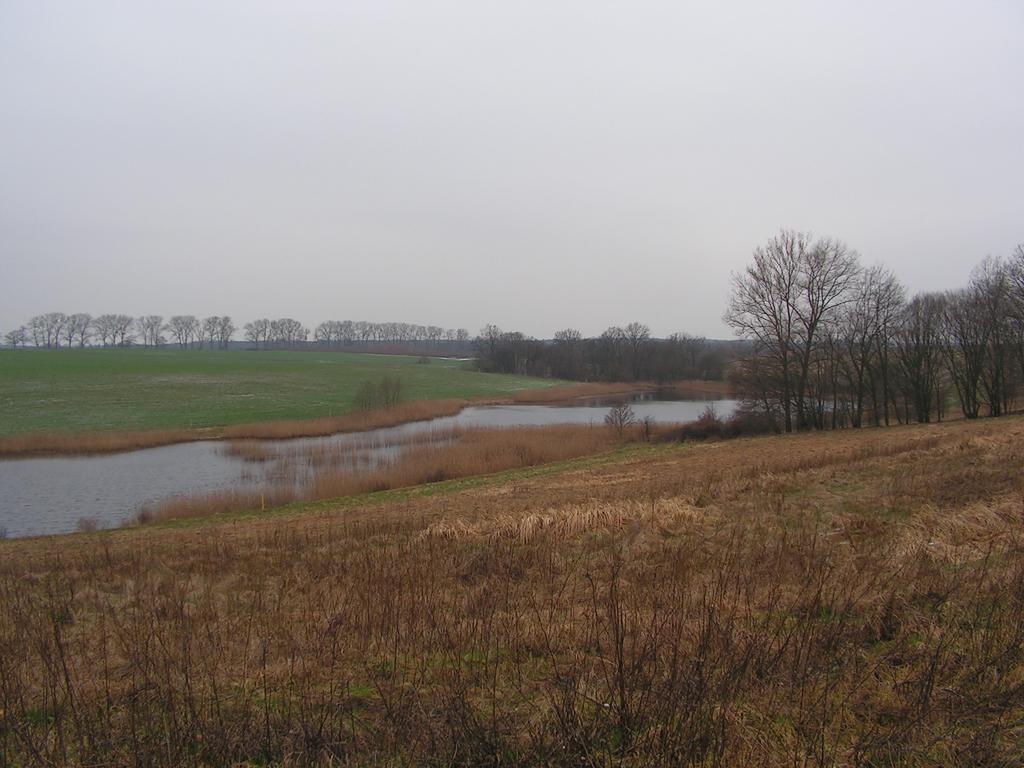 Wały nie są skuteczne ani trwałe. -możliwość przelania -erozja np.